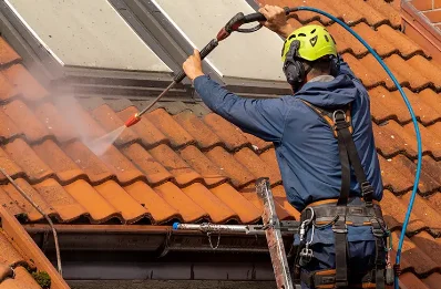 Démoussage et hydrofuge de toiture à Choranche